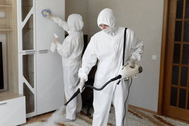 Best Mold Testing and Removal  in Harrisonburg, VA