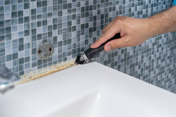 Best Affordable Mold Removal  in Harrisonburg, VA